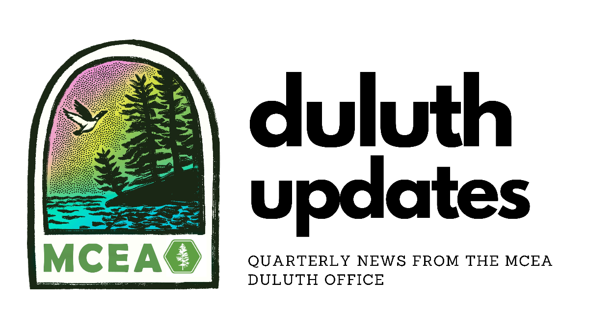 a graphic of a loon, trees, and lake with the words duluth quarterly updates