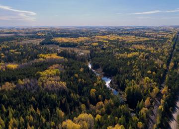 water running though the forest at the proposed polymet site