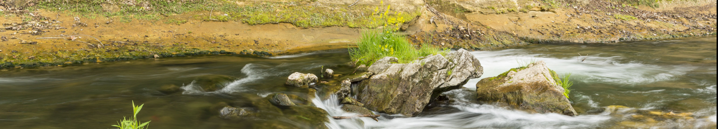 flowing stream