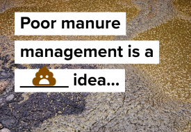 Bad manure management is crappy