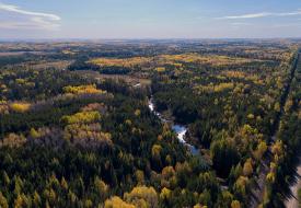 the proposed polymet site with trees changing color and meandering stream