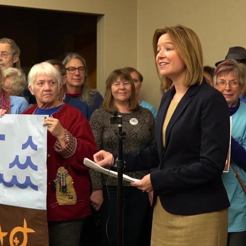 MCEA CEO at PolyMet press conference